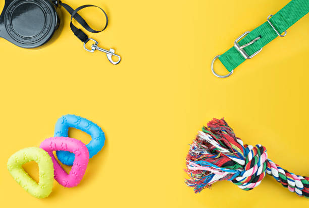 istock Pet accessories on yellow background. 1133699526