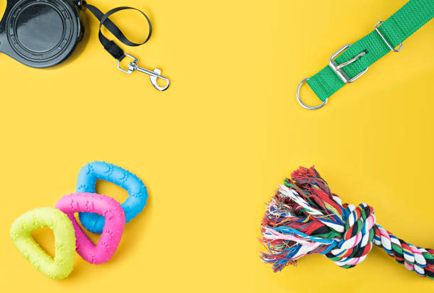 Pet accessories on yellow background. stock photo