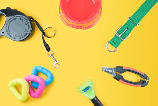 istock Pet accessories on yellow background. 1133699528