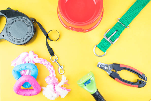 istock Pet accessories on yellow background. 1133699566
