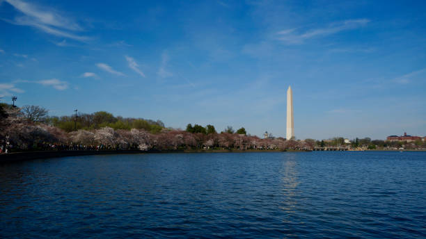 istock American Life / SAKURA and National Monument. 1133700304