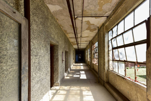 istock Ellis Island Immigrant Hospital 1133702284