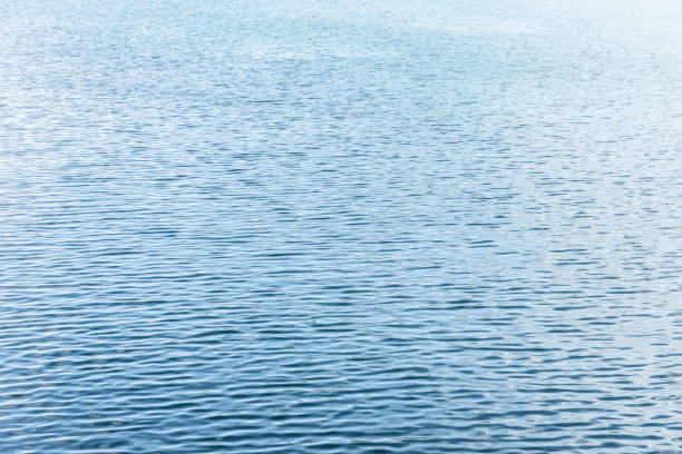 istock Ripple Water in swimming pool with sun reflection 1133702435