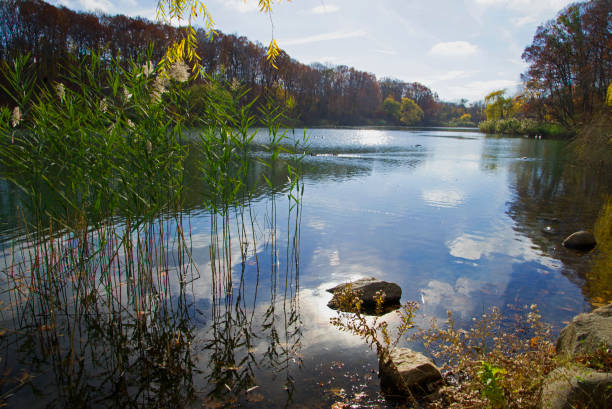 istock Reflection of the sky 1133704118