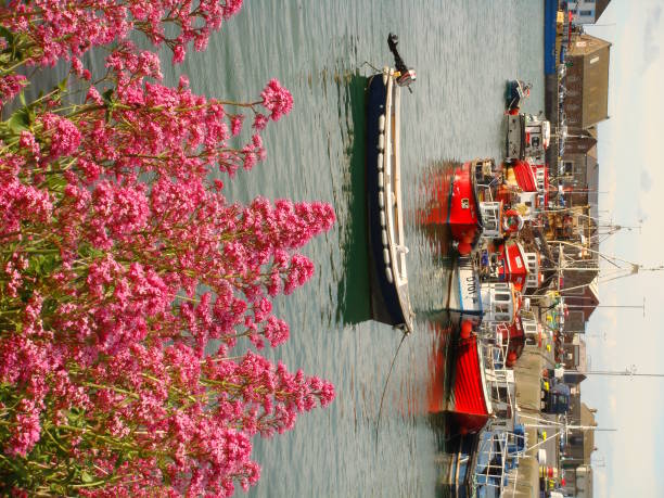 istock Ireland Fishing Boat 1133704348