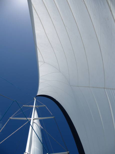 istock Yacht/Catamaran Sail 1133704376
