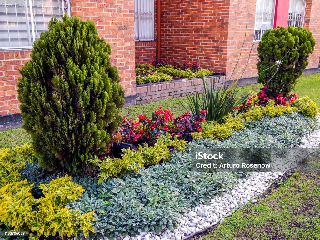 Small garden with trees flowers and bushes Ornamental Garden Stock Photo