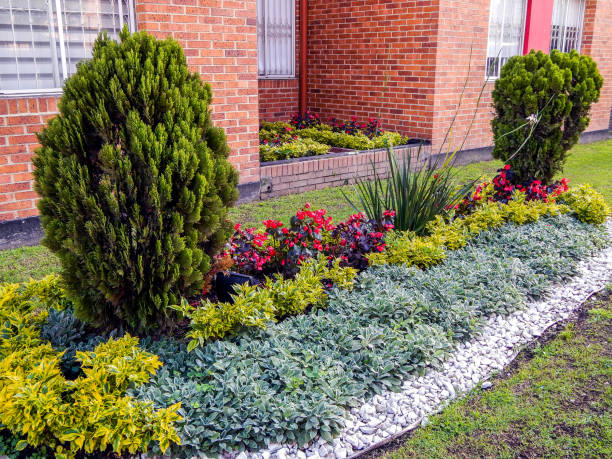 jardim pequeno com flores e arbustos das árvores - paving stone hardscape front or back yard formal garden - fotografias e filmes do acervo