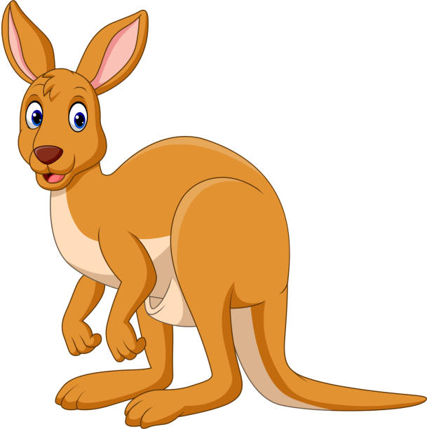 karikatur happy känguru isoliert auf weißem hintergrund - marsupial animal vertical kangaroo stock-grafiken, -clipart, -cartoons und -symbole