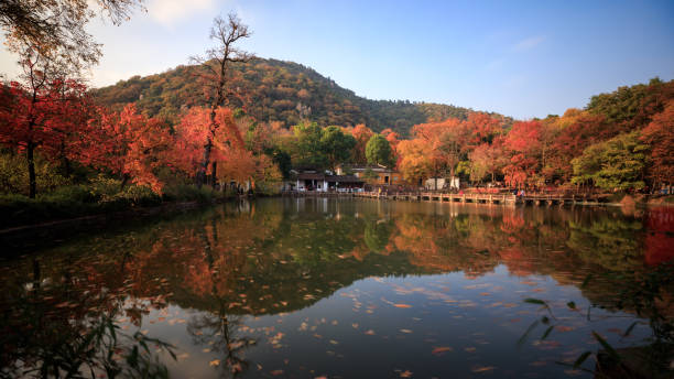 istock autumn in the park 1133713666