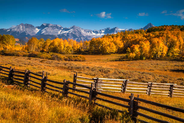 istock Colorado Mountains and Fields at Autumn 1133713896