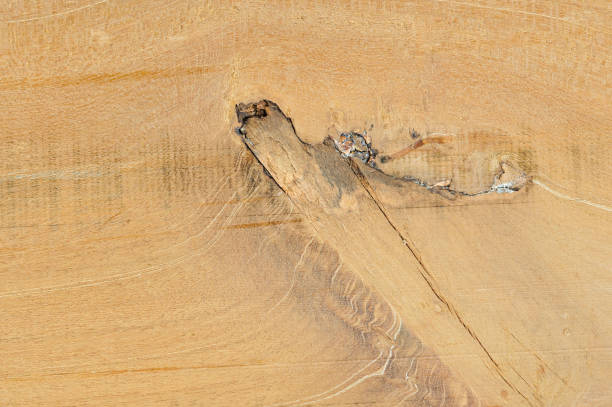istock Wood texture. Wood texture for design and decoration 1133716179