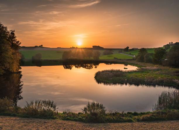 istock Summer sunset at the lake 1133716399