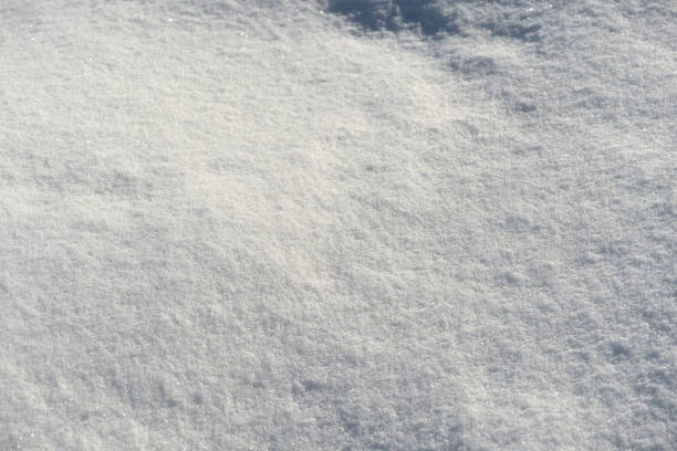 istock White snow texture on a sunny day. Winter background 1133717667