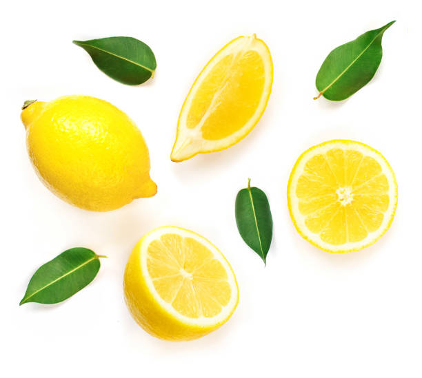 잎이 흰색 배경에 고립 된 레몬 슬라이스. 열 대 추상 창조적 여름 배경입니다.  평면 누워, 평면도. - lemon 뉴스 사진 이미지