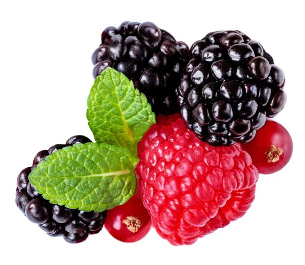 isolated mixed berries. raspberry, cranberry, blackberry and mint leaves on white background. top view - blackberry currant strawberry antioxidant imagens e fotografias de stock