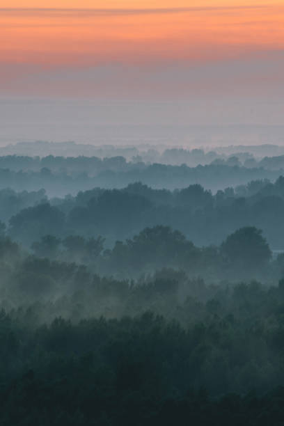 istock Mystical view from top on forest under haze at early morning. Mist among layers from tree silhouettes in taiga under warm predawn sky. Morning atmospheric minimalistic landscape of majestic nature. 1133719845