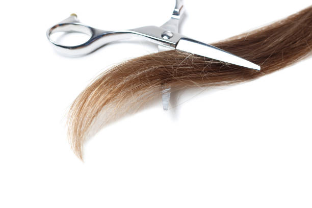 istock scisors and brown hair isolated on white background, copy space. 1133719922