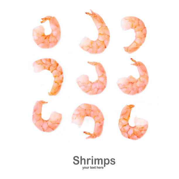 Seamless pattern with Shrimps. Fresh shrimps isolated on a white background. top view