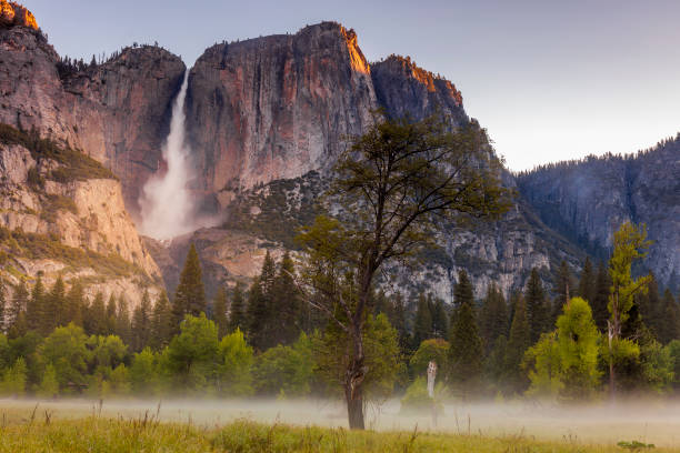 widok w kierunku wodospadu yosemite - valley tree remote landscape zdjęcia i obrazy z banku zdjęć