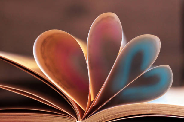 istock Book and love shape with educational concept so close 1133726685