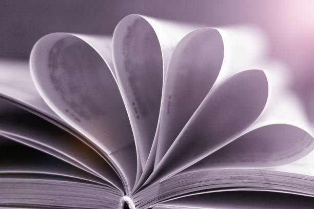 istock Book and love shape with educational concept so close 1133726760