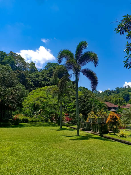 istock Beautiful garden against blue sky 1133727540