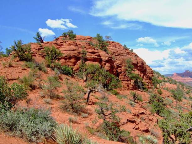 american nature / sedona, red rock e vortex.airport mesa vortex. - sedona arizona tourist resort vortex foto e immagini stock