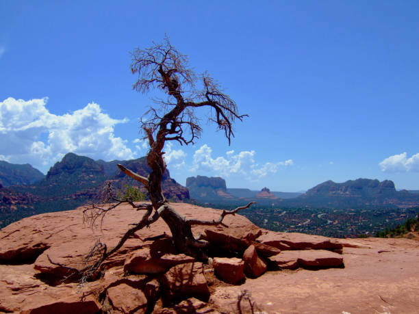 아메리칸 네이처/세도나, 레드 록 및 소용돌이. 공항의 상단 메사 소용돌이. - sedona arizona tourist resort vortex 뉴스 사진 이미지