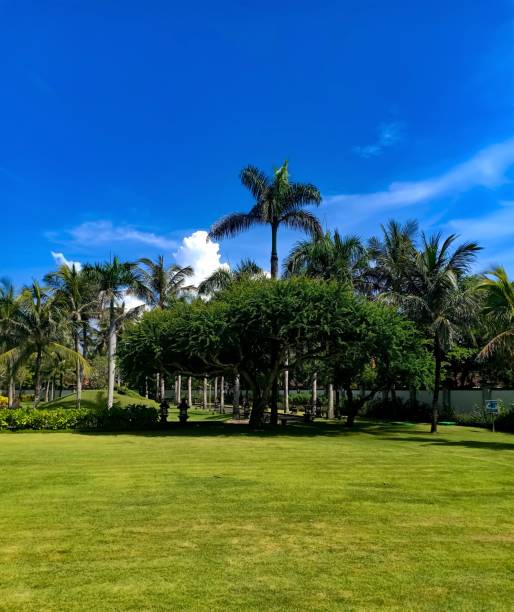 istock Beautiful garden against blue sky 1133728461