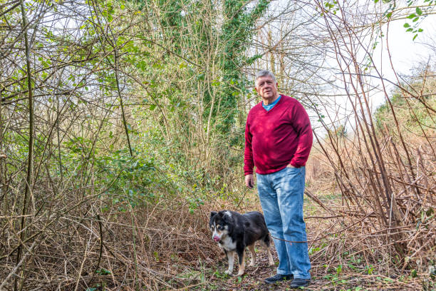 istock Senior Caucasian man in woodland 1133728498