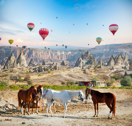 Hot air ballooning horses in Cappadocia, Turkey