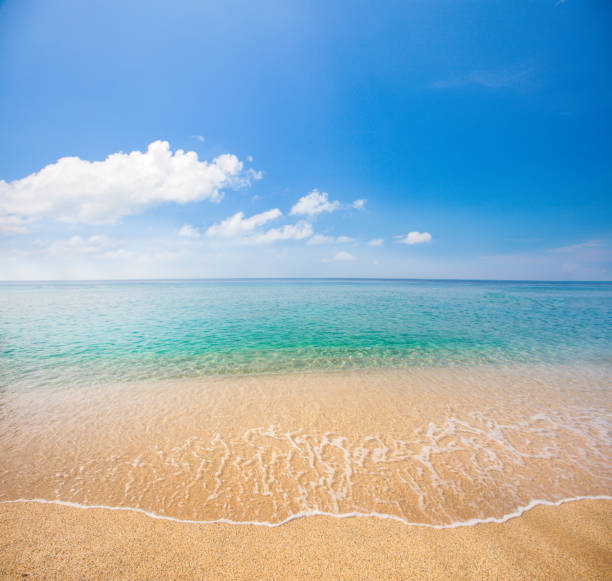 istock beach and beautiful tropical sea 1133731449