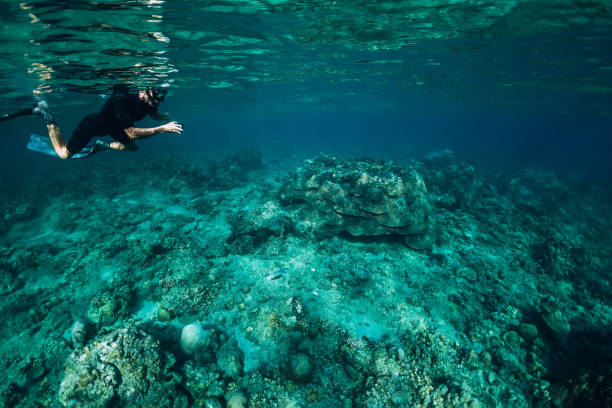 istock Freediver man explore sea life in ocean, underwater 1133734008