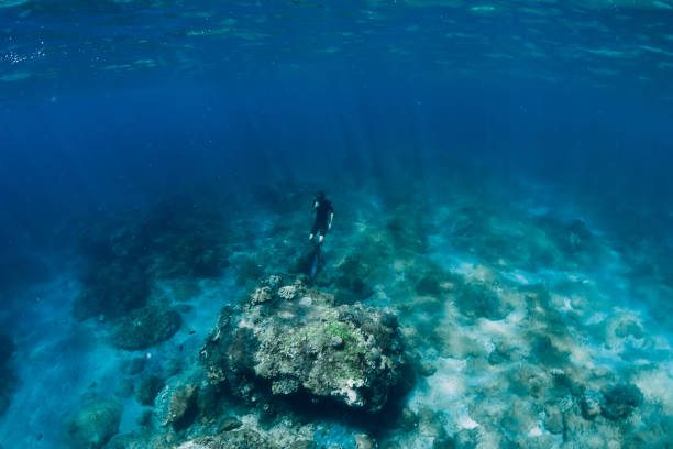 istock Freediver in wetsuit dive underwater in the ocean 1133734251