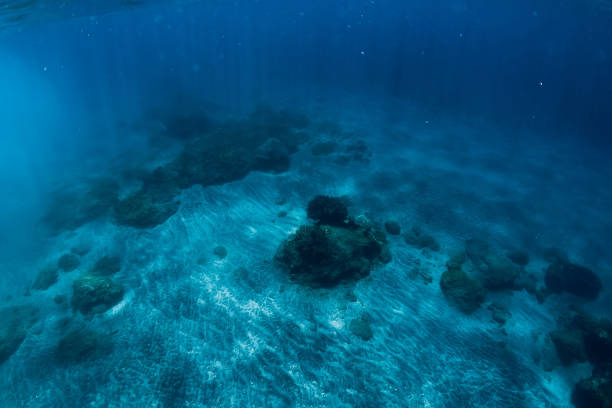 istock Tranquil underwater scene with copy space. Tropical blue sea 1133734291