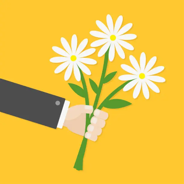 Vector illustration of Businessman cartoon character hand holding bunch bouquet of white daisy flowers. Greeting card.  Yellow background. Flat material design.