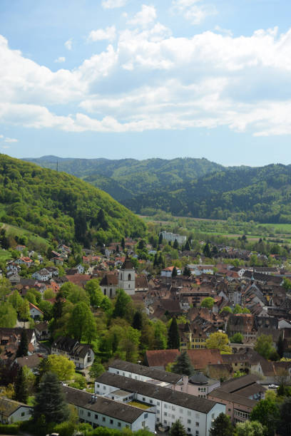 istock Staufen in Breisgau 1133741239
