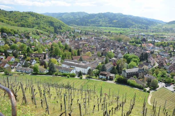 istock Staufen in Breisgau 1133741247