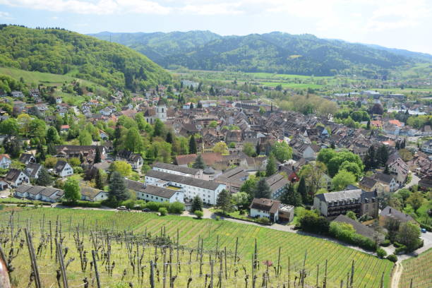 istock Staufen in Breisgau 1133741248