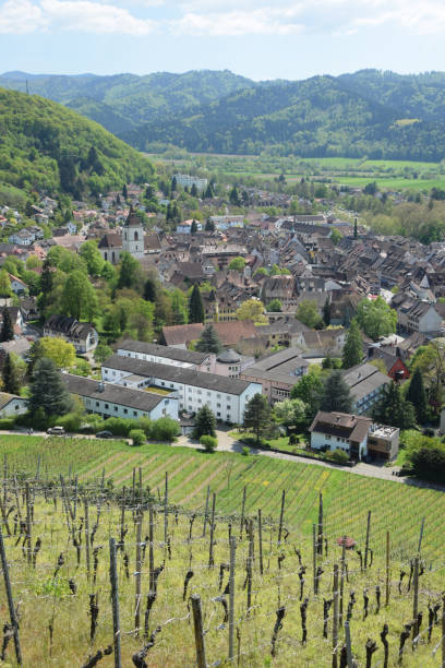 istock Staufen in Breisgau 1133741289