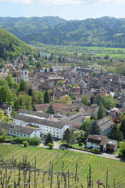 istock Staufen in Breisgau 1133741294