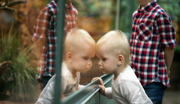 istock Kids watching reptiles in terrarium through glass. 1133742215