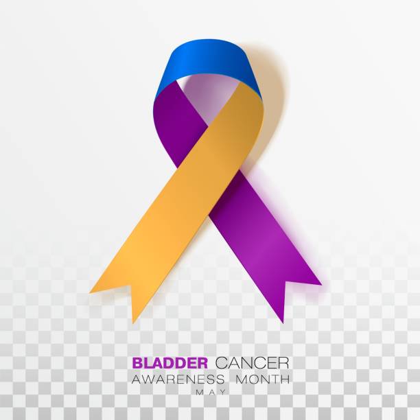 Bladder Cancer Awareness Month. Marigold And Blue And Purple Color Ribbon Isolated On Transparent Background. Vector Design Template For Poster. Bladder Cancer Awareness Month. Marigold And Blue And Purple Color Ribbon Isolated On Transparent Background. Vector Design Template For Poster. Illustration. bladder cancer stock illustrations