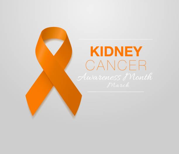 ilustraciones, imágenes clip art, dibujos animados e iconos de stock de mes nacional de concientización sobre el cáncer de riñón. cinta de color naranja aislada en fondo transparente. plantilla de diseño vectorial para póster. - kidney cancer