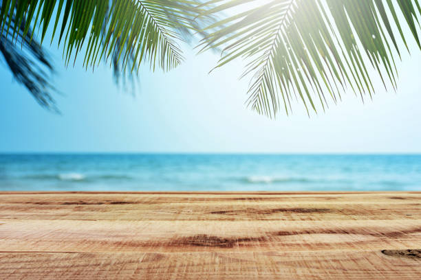 istock Tropical beach background with palm tree and empty wooden, Summer. 1133745427