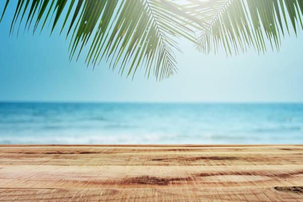 istock Tropical beach background with palm tree and empty wooden, Summer. 1133750893