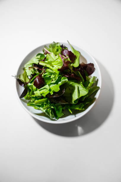 zdrowe odżywianie: miski gourmet sałata greens - bibb lettuce zdjęcia i obrazy z banku zdjęć
