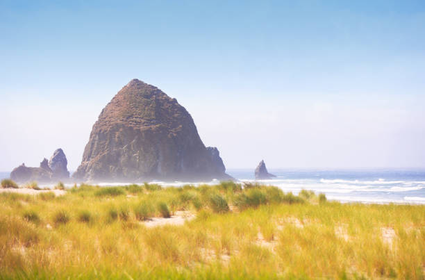 Panorama fo Cannon Beach in Oregon