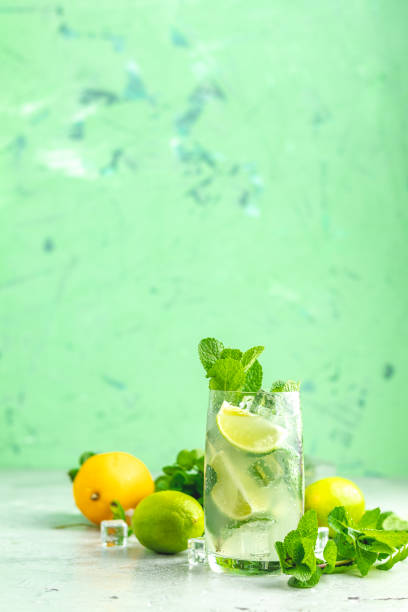 istock Mojito cocktail with lime and mint in highball glass 1133753385
